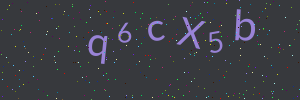 Validation image